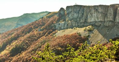 Экскурсия из Ялты: В Крымский природный заповедник на джипах. фото 6022