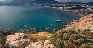 Авто-пешеходная экскурсия из Алупки (фото 4)