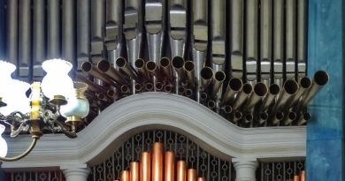 Экскурсия из Симеиза: Ливадийский дворец и Концерт органной музыки фото 7811