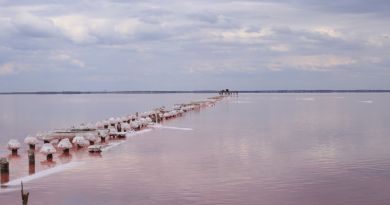 Экскурсии в Озеро Сасык-Сиваш (розовое озеро) из Алупки 2024