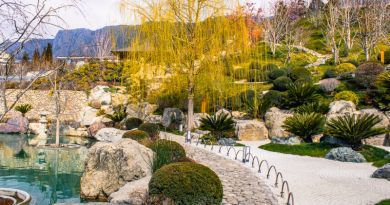 Экскурсии в Японский сад "Шесть чувств" в отеле "Мрия" из Алупки 2024