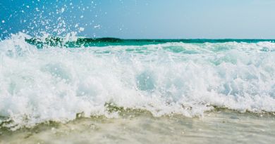Экскурсии в `Евпатория` из Алупки
