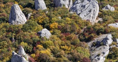 Экскурсии в `Храм Солнца, «Крымский Стоунхендж»` из Алупки